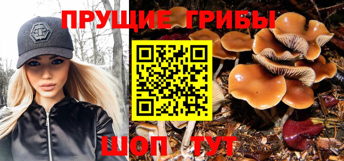 где продают наркотики  Вход с VPN  Саки  Псилоцибиновые грибы ЛСД 